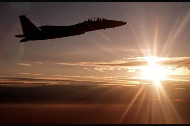 Free HQ F 15 Eagle 05 Wallpapers   Free HQ Wallpapers