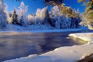 Winter Landscape Wallpapers   (