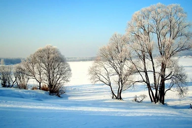 Top 20 Winter Landscape Wallpapers HD Of Winter Scenes