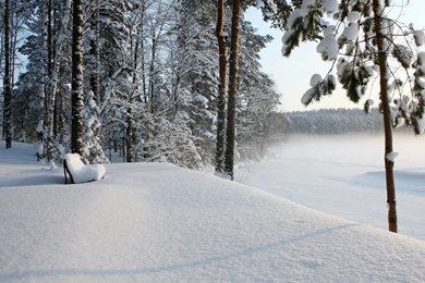 2560x1440 Winter Landscape Scenery Wallpapers