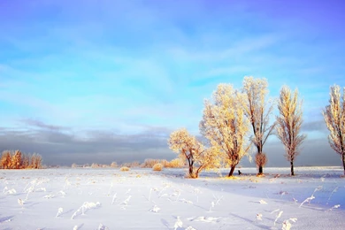 2560x1440 Snowy Winter Landscape Desktop PC And Mac Wallpapers