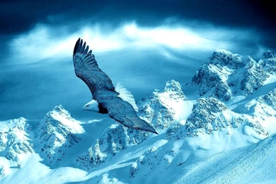 Inspirable Winter Landscape Wallpapers