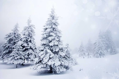 Top 20 Winter Landscape Wallpapers HD Of Winter Scenes