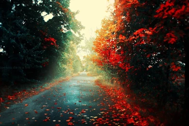 Cool Guy Background Images