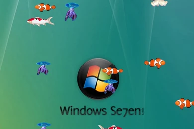 Free Desktop Fish Wallpapers Free Download