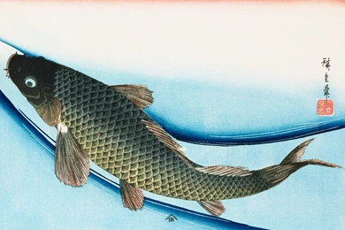 Live Wallpapers Of Fish For PC DF6