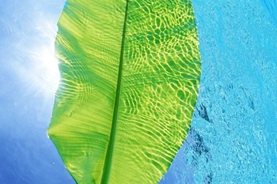 Waters iPhone 5s Wallpapers