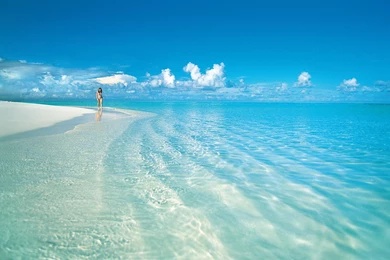 Walk In The Clear Waters >> HD Wallpaper, Get It Now!