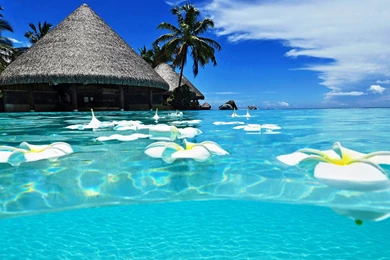 Summer Clear Waters Of The Harbor Wallpapers, Beach Pictures And ...