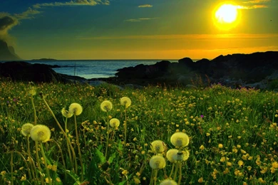 Nature Wallpapers Free Download For Mobile   Wallpapers HD Base