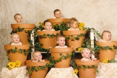 Pic New Posts: Tein Wallpapers