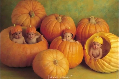 Wallpapers Twins Babies Hd 1024x768