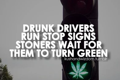 Cool Marijuana Quotes. QuotesGram