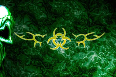 Biohazard 14421 1366x768_flip