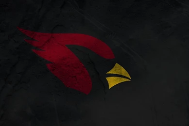Arizona Cardinals Wallpapers Hd Free Download