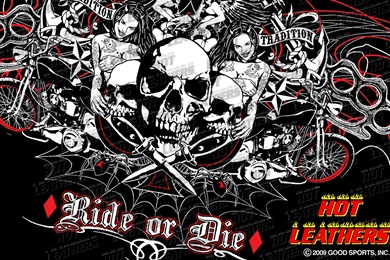 Download Harley Davidson Skull Logo Wallpapers