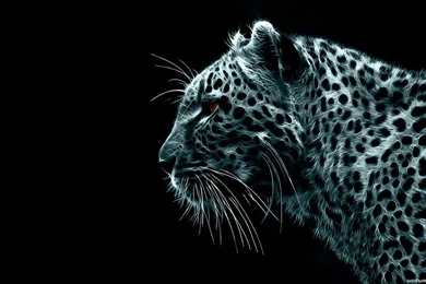 1366x768 Backgrounds Wallpapers Cave