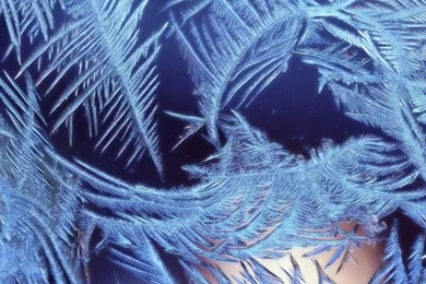 Desktop Wallpapers · Gallery · HD Notebook · Christmas Frost ...