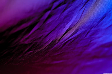 Purple Cloth HD Desktop Wallpapers : High Definition : Fullscreen ...