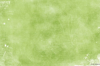 Cloth Wallpapers 2015   Grasscloth Wallpapers