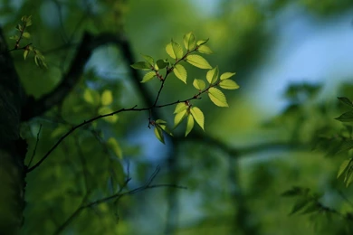 Best Photography Wallpapers Free Download: Amazing Nature Full HD ...