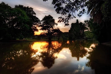 Amazing Nature Wallpapers