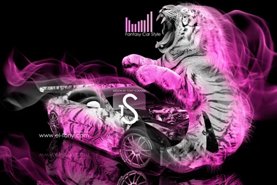 Nissan GTR R35 Fantasy Tiger Car 2013 « El Tony