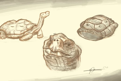 Wallpapers Google Red Entertainment Galleries Images Cghub Com ...