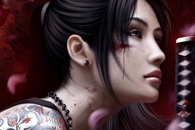 Wallpapers Female Soldier Fantasy Art 1024x768