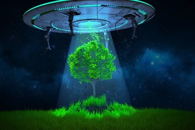 UFO Tree Abduction HD Desktop Wallpapers : Widescreen : High ...