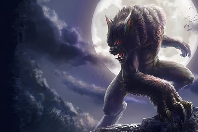 Werewolf Wallpapers, Free Desktop Backgrounds   Wallpapers Path