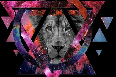 Hipster Wallpapers Galaxy Lion   Android Apps And Tests   AndroidPIT