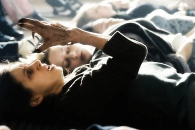 Transform Werewolves Wallpapers   (