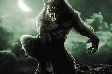 Your Favorite Werewolf Design!