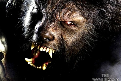 The Wolfman   Werewolves Wallpapers (32243438)   Fanpop