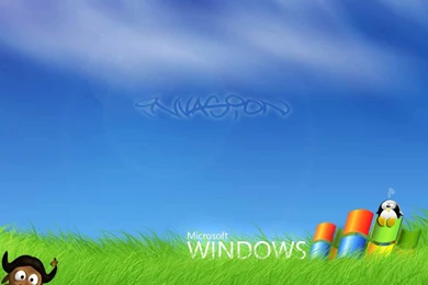 Free Windows 8 Wallpapers Download 42983 Desktop Wallpapers
