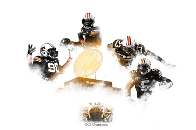 Auburn Tigers Wallpapers   Wallpapers HD Fine