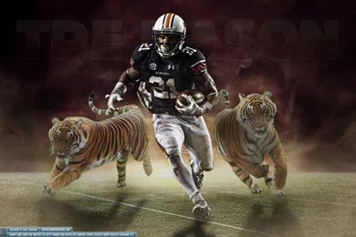 Auburn Wallpapers   Wallpapers Zone