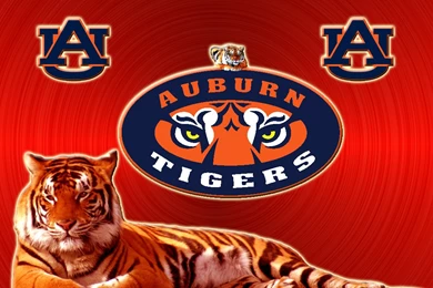 AuburnTigers On Pinterest