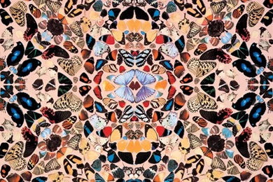 Damien Hirst – Butterfly Wallpapers
