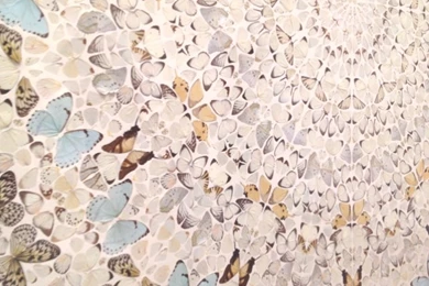 Damien Hirst On Pinterest