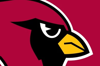 Download Wallpapers 750x1334 Arizona Cardinals, Sports Team ...