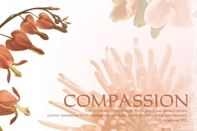 Crosscards Wallpapers   Wallpapers Zone