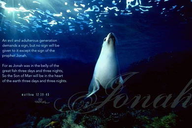 Crosscards Free Wallpapers For Computer Desktop   Www.Wallpapers In ...