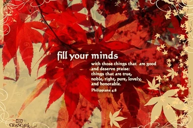 Wallpapers Romans Crosscards Co Uk Free Christian Ecards Online ...