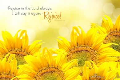 Rejoice In The Lord Desktop Wallpapers   Free Scripture Verses ...