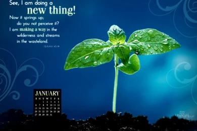 Crosscards Monthly Calendar