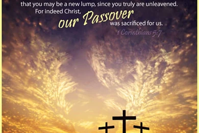 800x600px Crosscards Best Picture 112.47 KB