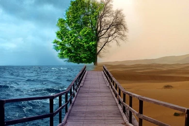 Hd Wallpapers For Android Tablet 7 Inch