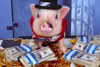 Download Wallpapers 1280x1024 Pig, Costume, Money, Hat, Gold ...